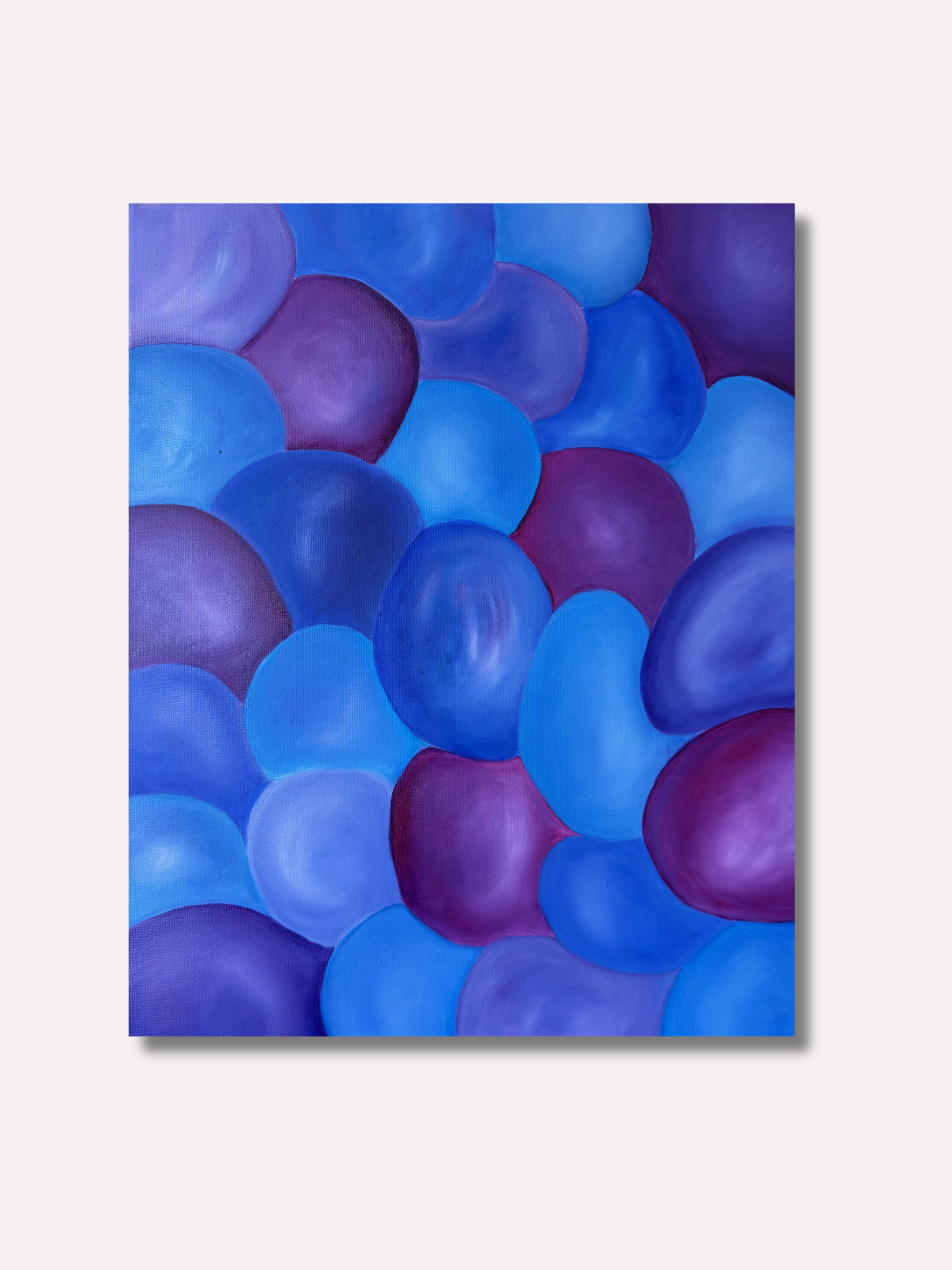 Coquilles 003