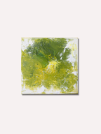 Variation 005