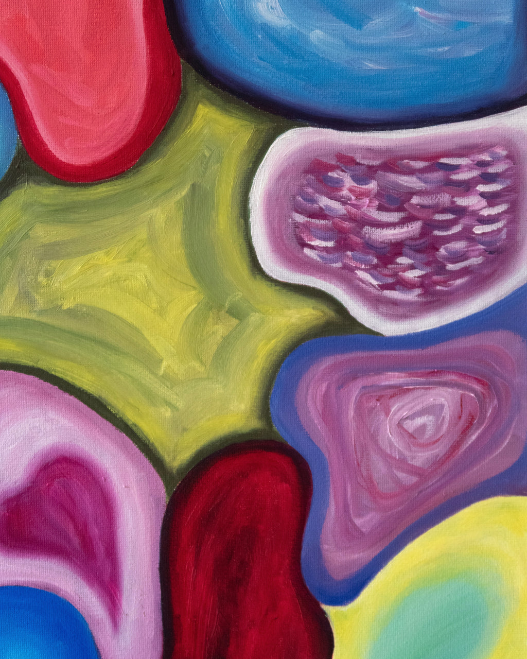 Coquilles 001