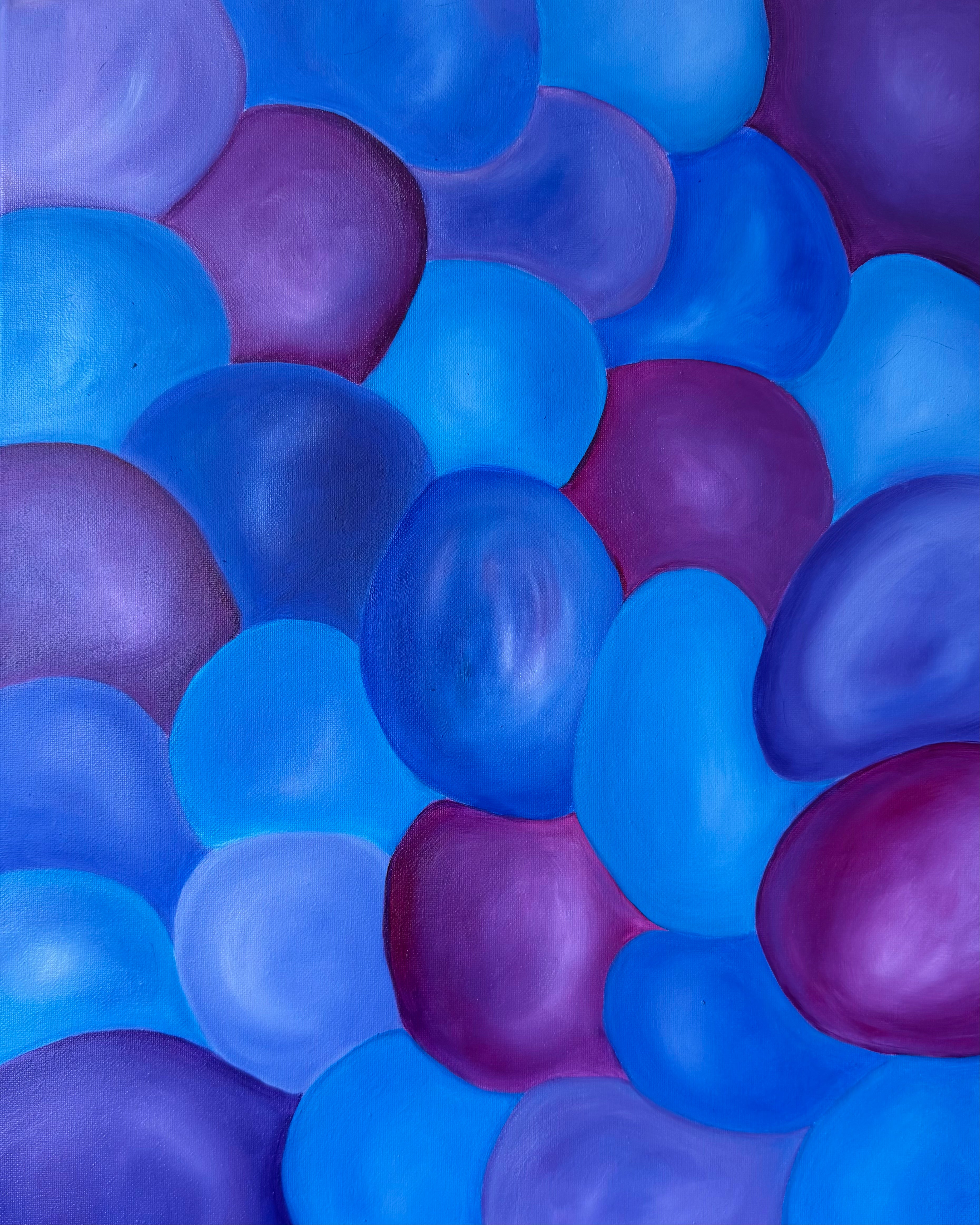 Coquilles 003