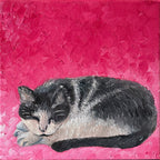 A Sleeping Cat